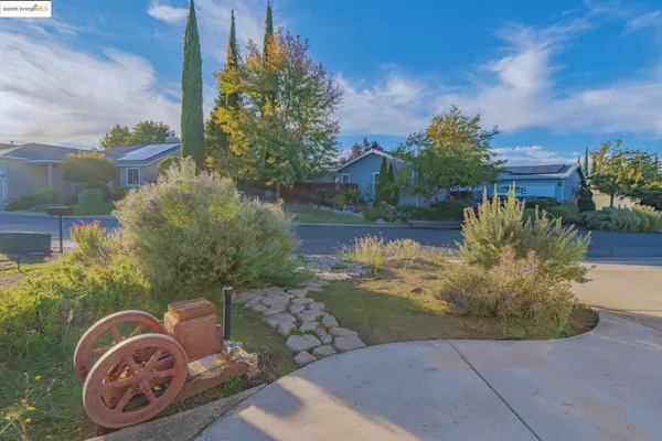 a view of a backyard of the house