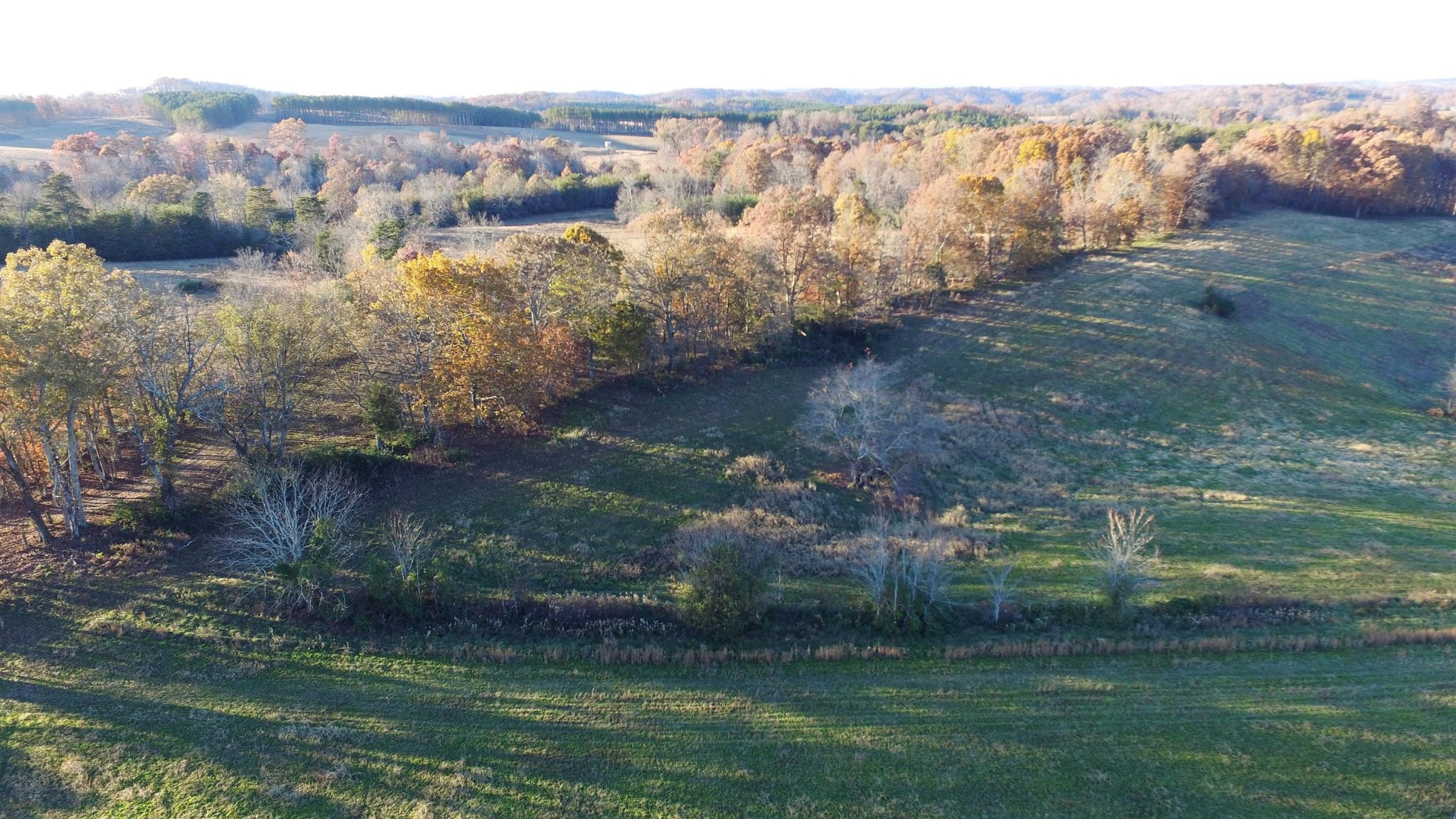 0 Dawson Road Sweetwater, TN 37874 - Photo 16 of 17 Gallery Image 16