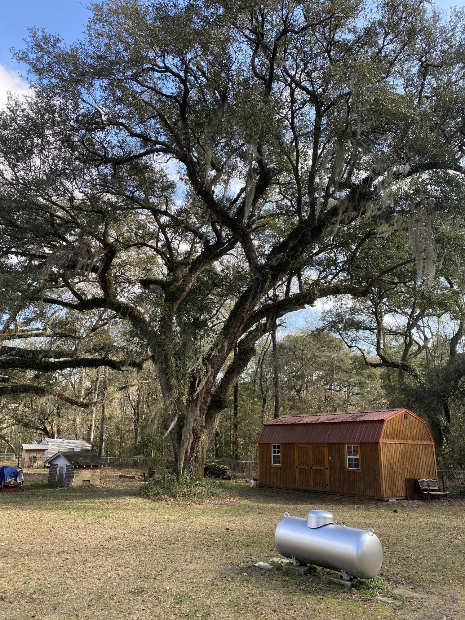2966 Coolers Dairy Road Round O, SC 29474 - Photo 29 of 39 Shed view