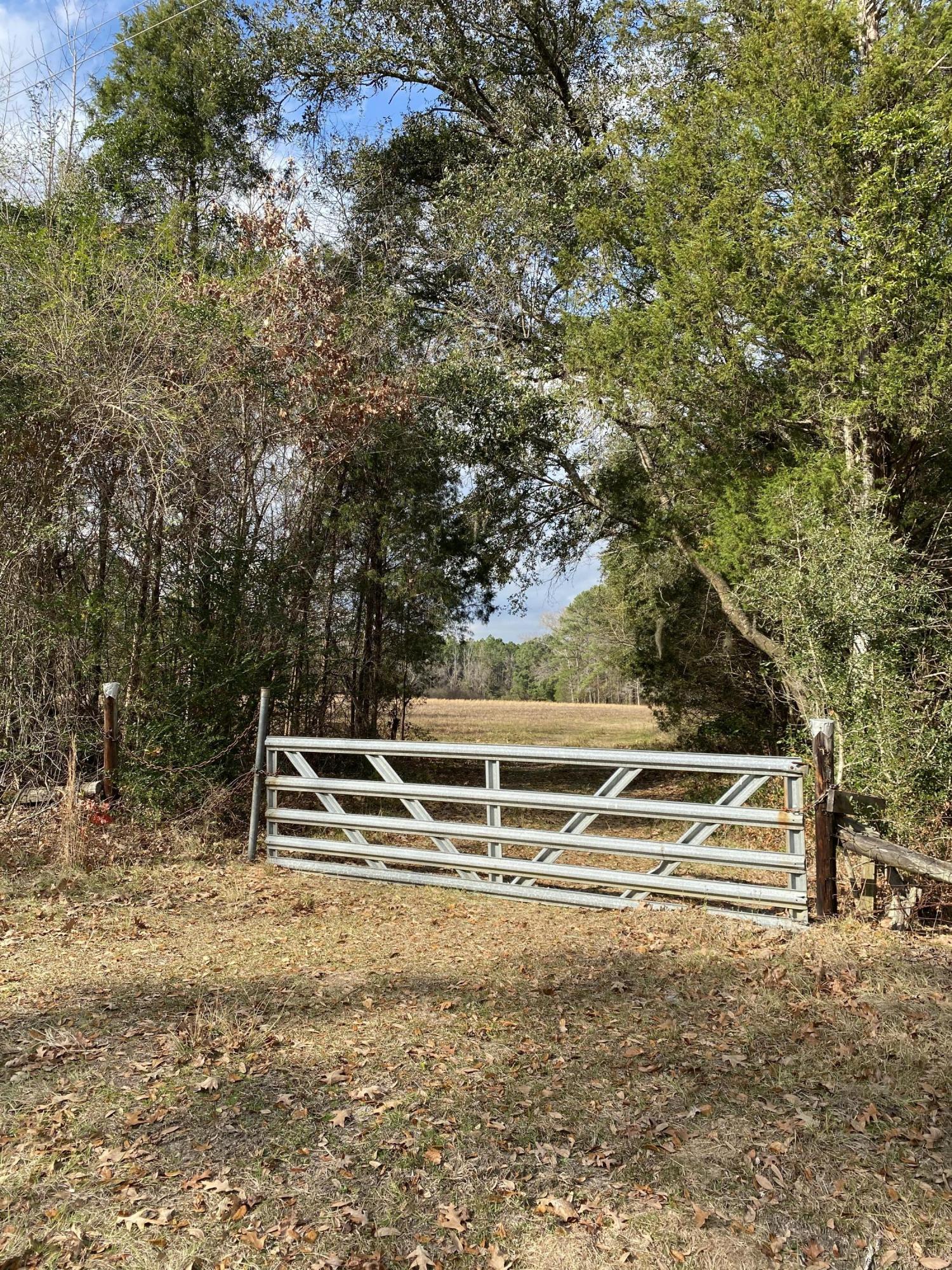 2966 Coolers Dairy Road Round O, SC 29474 - Photo 38 of 39 View across Street