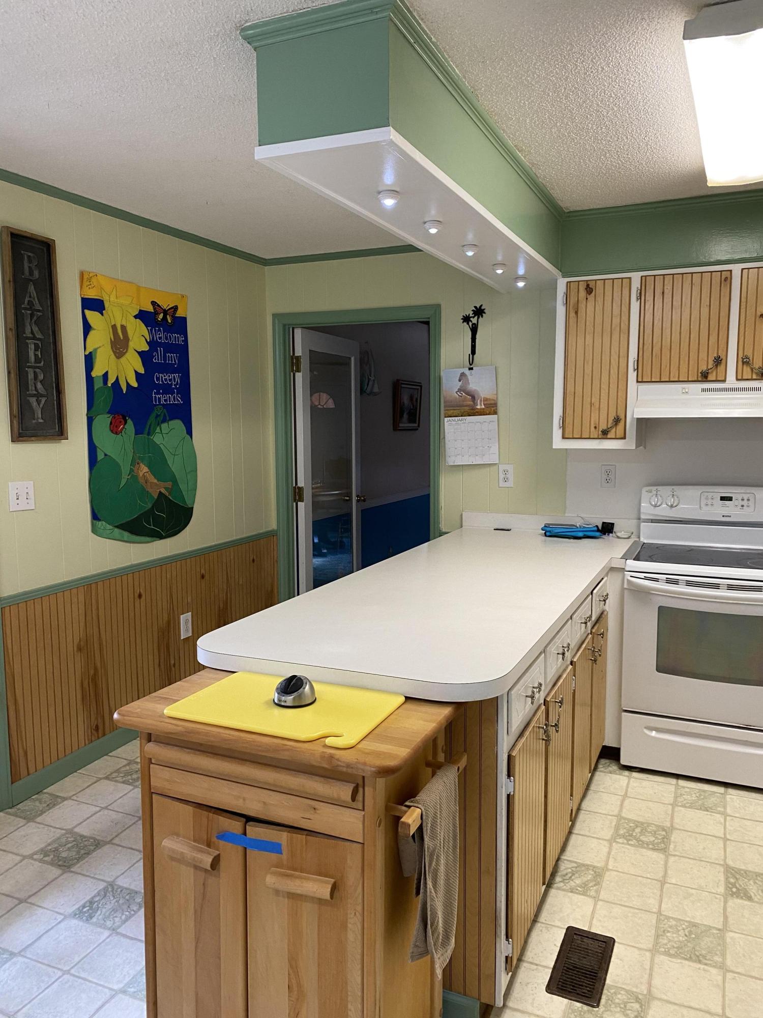 2966 Coolers Dairy Road Round O, SC 29474 - Photo 10 of 39 Kitchen 4