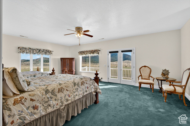 4768 East Hickman Canyon Road Stockton, UT 84071 - Photo 34 of 85 Large bedroom featuring multiple windows, carpet, ceiling fan, and access to East side second floor balcony.