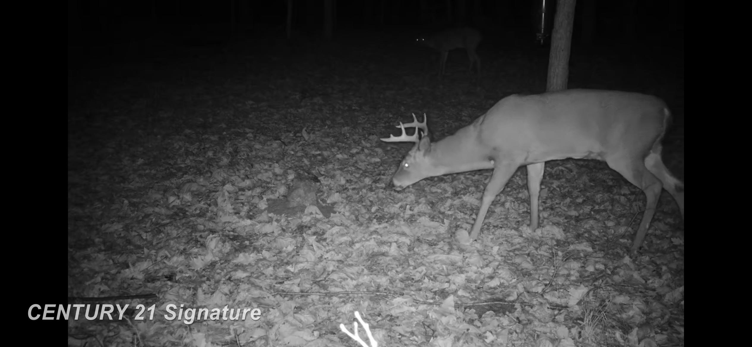 3143 South Homer Road Merrill, MI 48637 - Photo 42 of 43