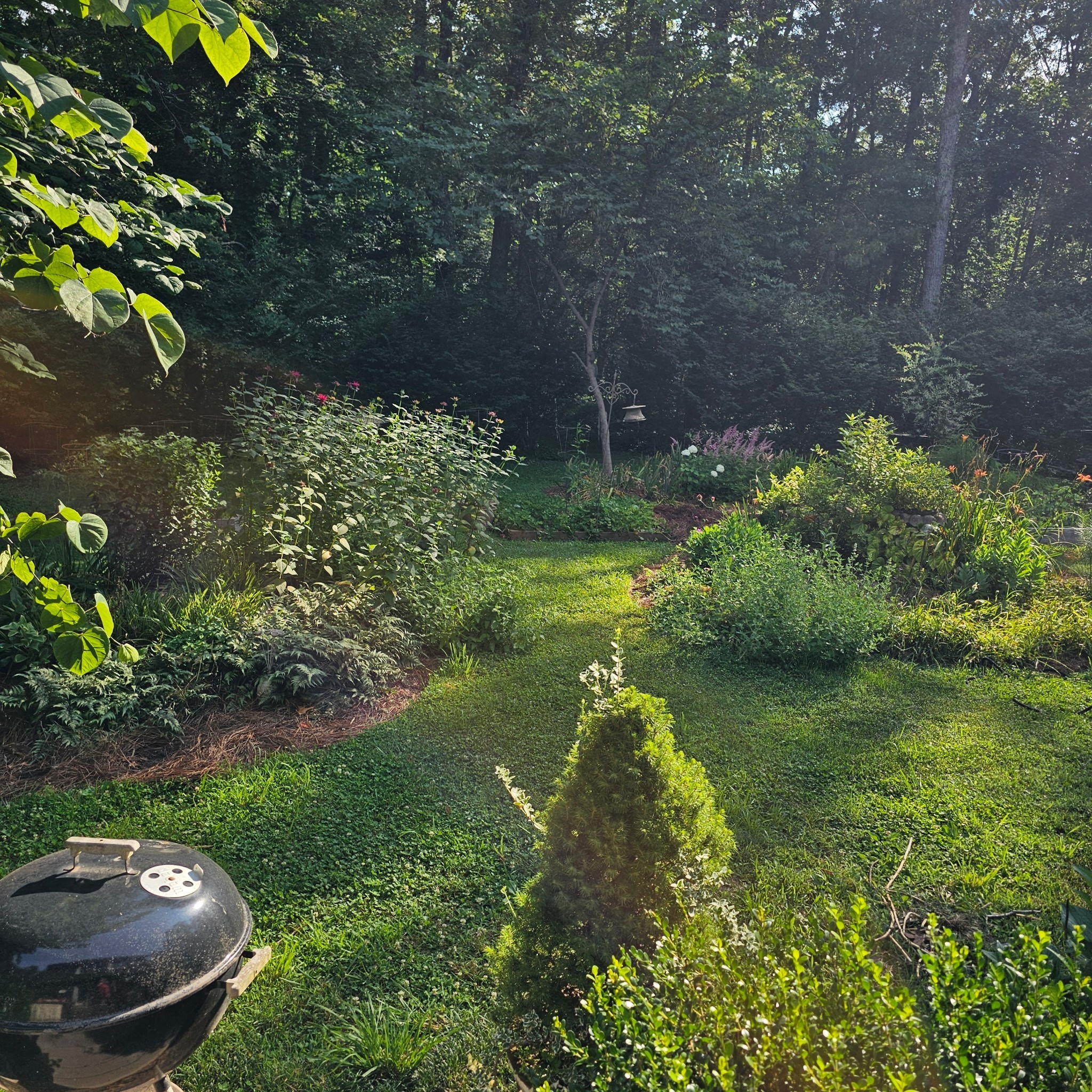 954 Belmont Road Manchester, TN 37355 - Photo 31 of 39