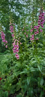 $425,000 | 954 Belmont Road, Manchester, TN 37355