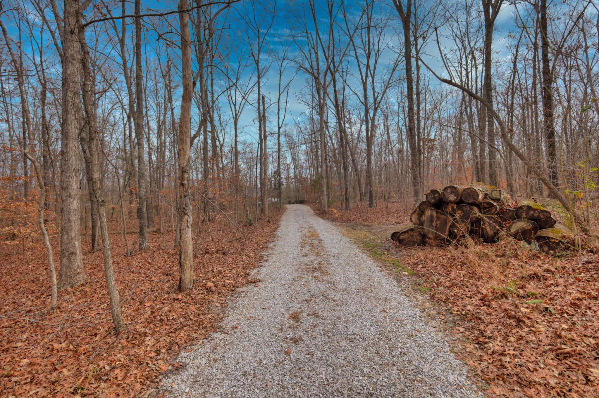 954 Belmont Road Manchester, TN 37355 - Photo 55 of 65 a backyard of a house with lots of green space