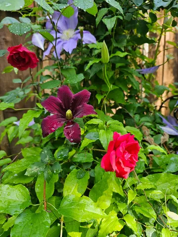 $450,000 | 954 Belmont Road, Manchester, TN 37355