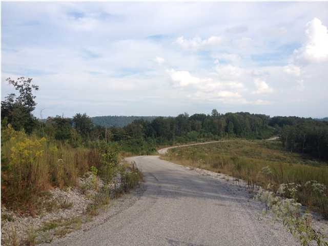 1 Old Harris Turnpike Road, Unit 1 Jasper, TN 37347 - Photo 1 of 6 Primary Photo