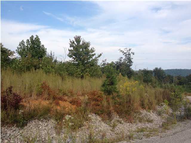 1 Old Harris Turnpike Road, Unit 1 Jasper, TN 37347 - Photo 3 of 6 Additional Photo