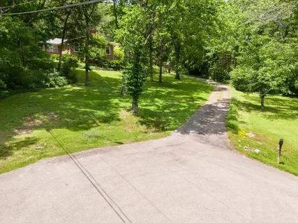 a big yard with lots of green space and plants
