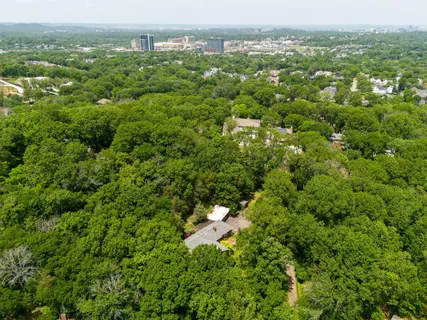 an aerial view of residential houses with outdoor space and trees