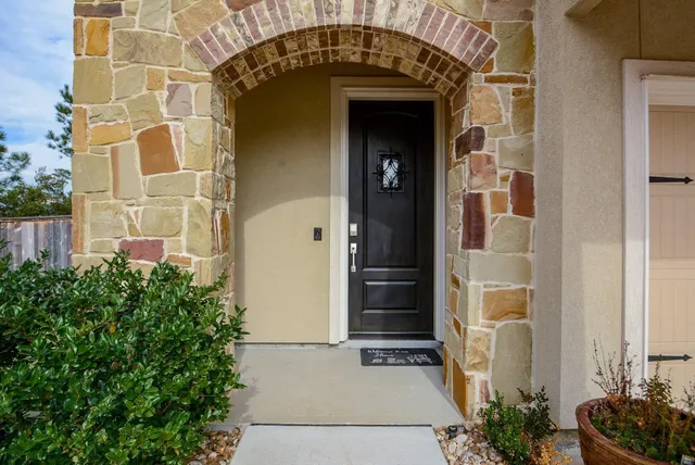 a couple of potted plants in front of door