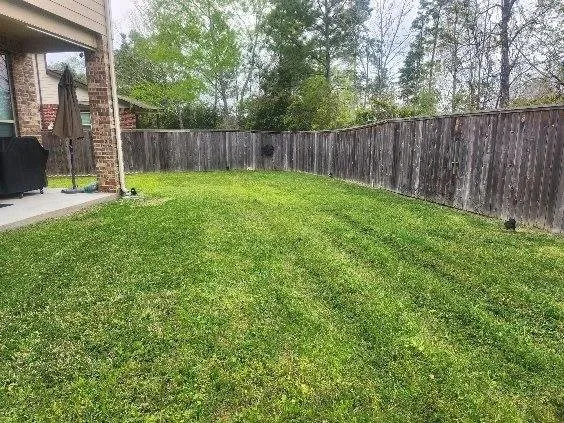 a view of a backyard with plants and wooden fence