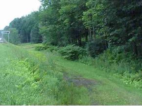 0 Wyman Falls Road Chester, VT 05143 - Photo 1 of 1