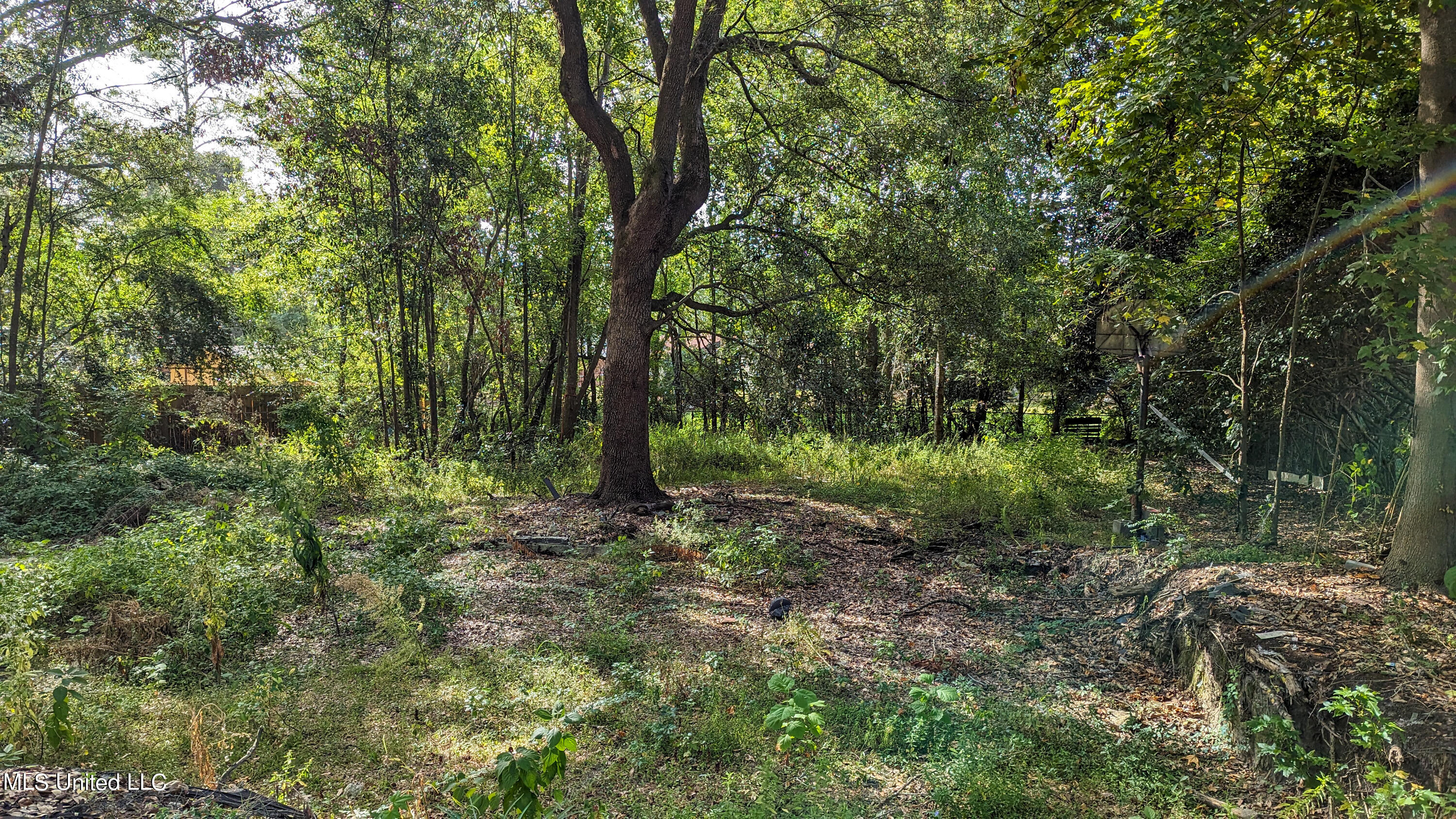 15813 Big Ridge Road Biloxi, MS 39532 - Photo 5 of 5 PXL_20231004_145458184