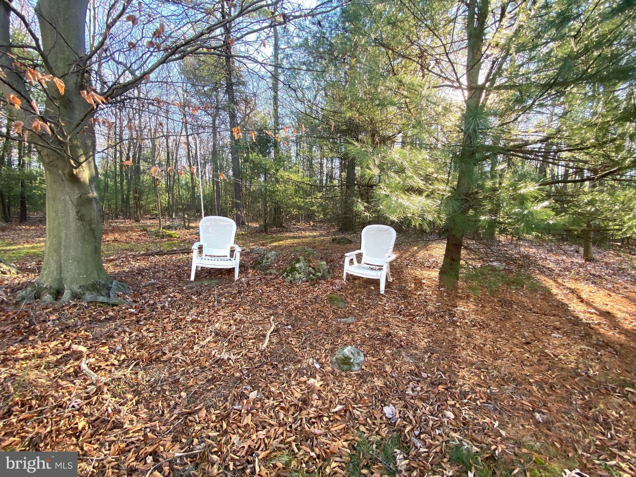 590 Indiana Road Landisburg, PA 17040 - Photo 102 of 128 Rear yard / wooded land