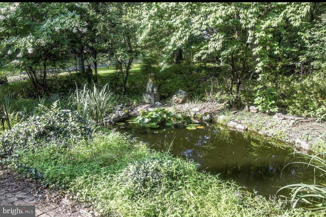590 Indiana Road Landisburg, PA 17040 - Photo 117 of 128 Koi pond