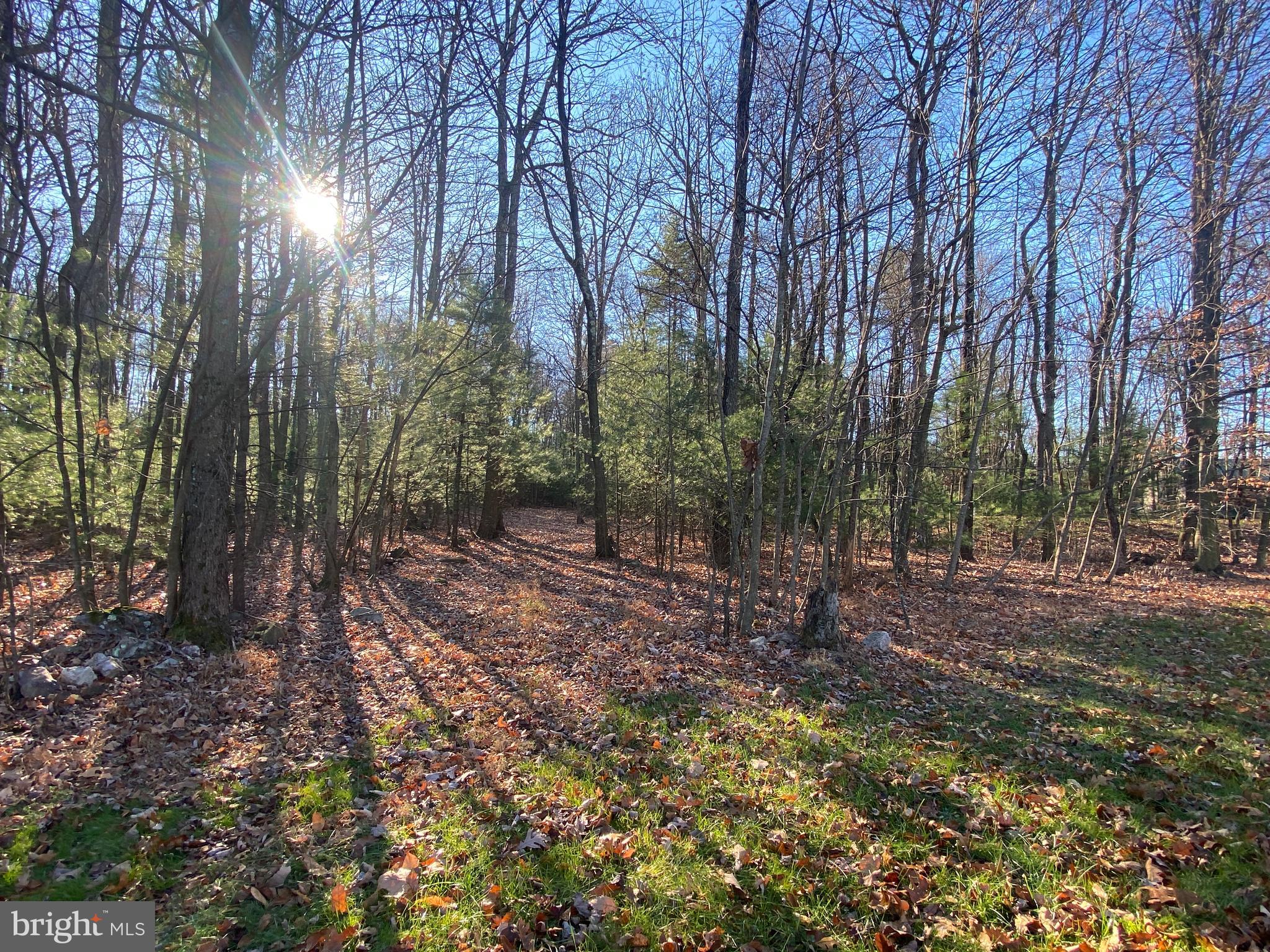 590 Indiana Road Landisburg, PA 17040 - Photo 122 of 128 Backyard / Wooded land