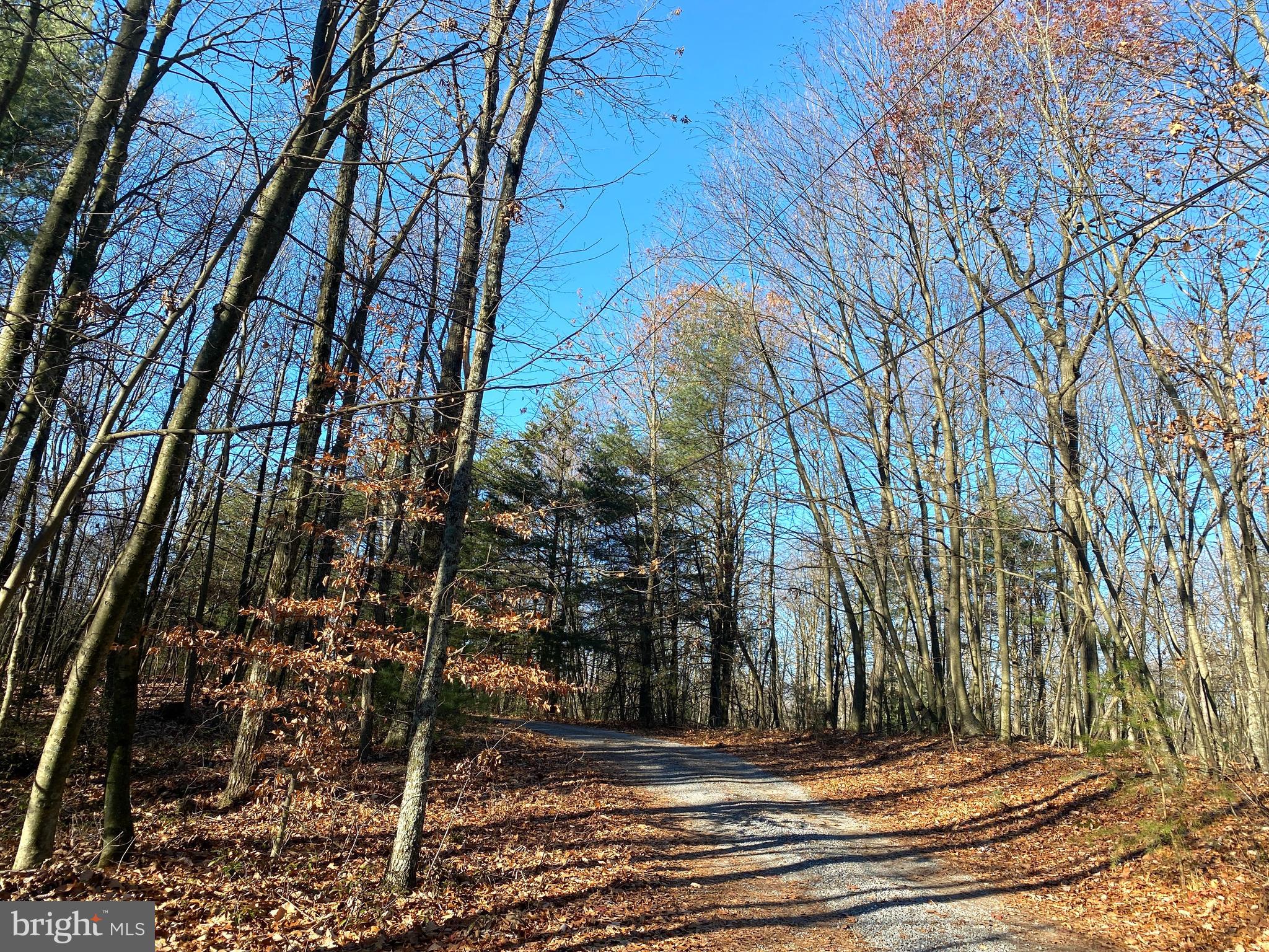 590 Indiana Road Landisburg, PA 17040 - Photo 125 of 128 Driveway leading to your next home