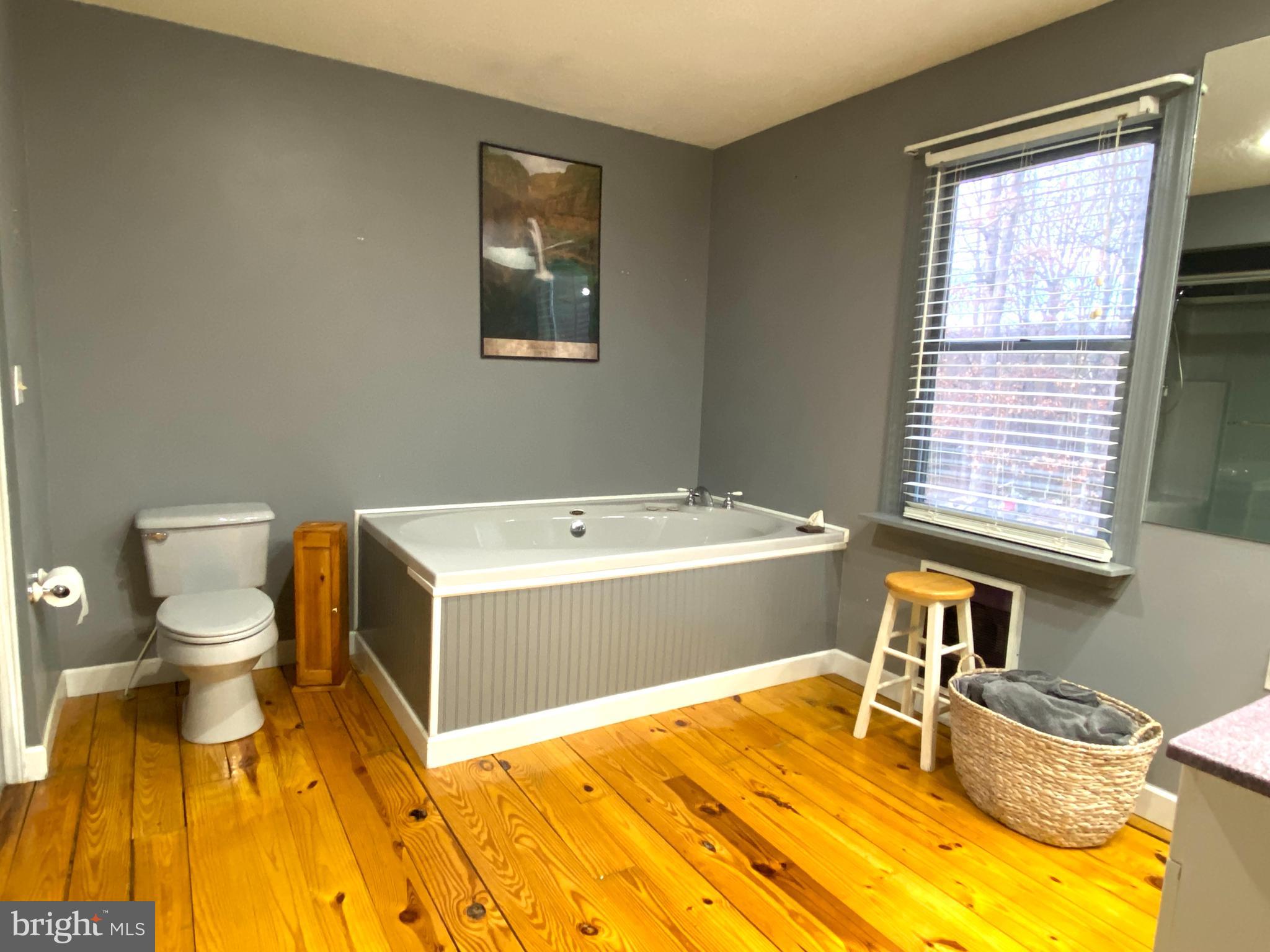 590 Indiana Road Landisburg, PA 17040 - Photo 53 of 128 Bathroom jet soaking tub