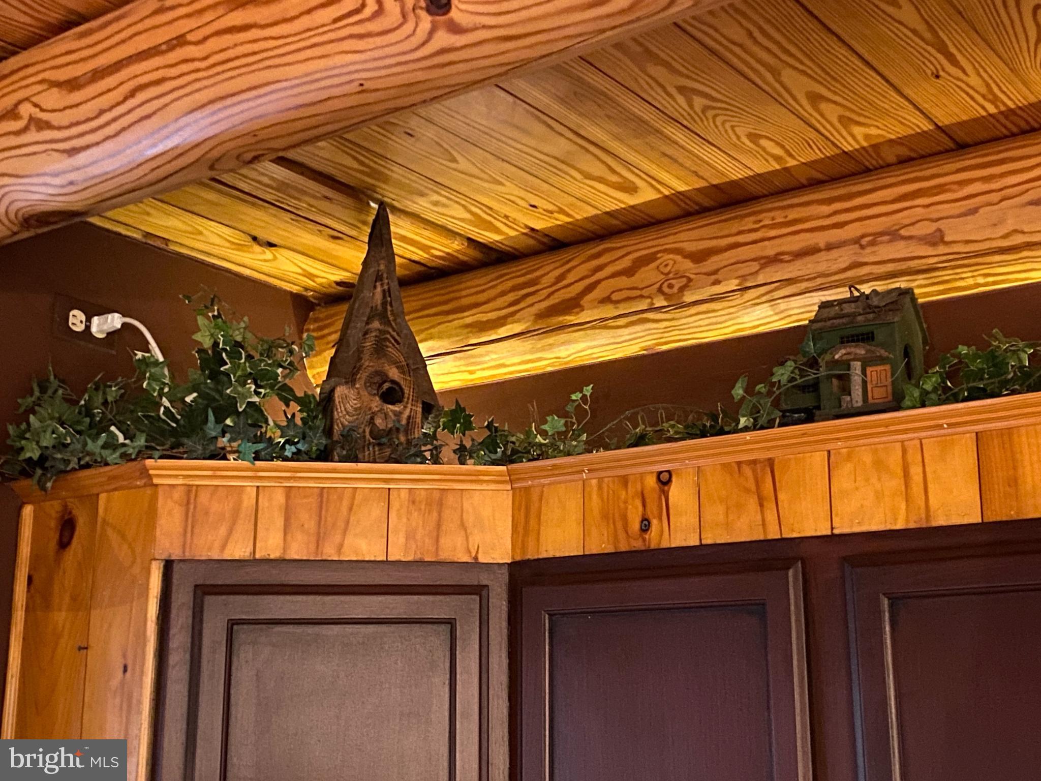590 Indiana Road Landisburg, PA 17040 - Photo 71 of 128 Kitchen above cabinet lighting