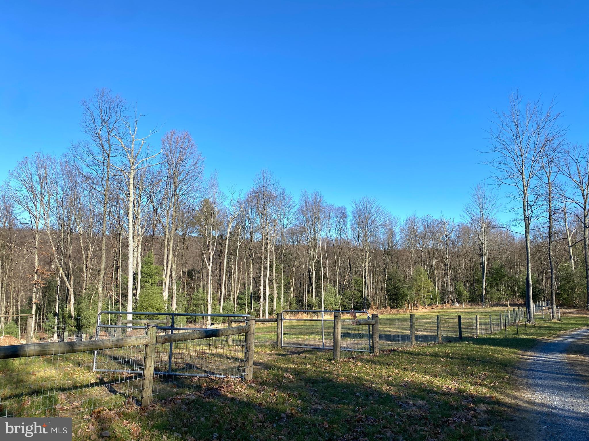 590 Indiana Road Landisburg, PA 17040 - Photo 84 of 128 Paddock and pasture
