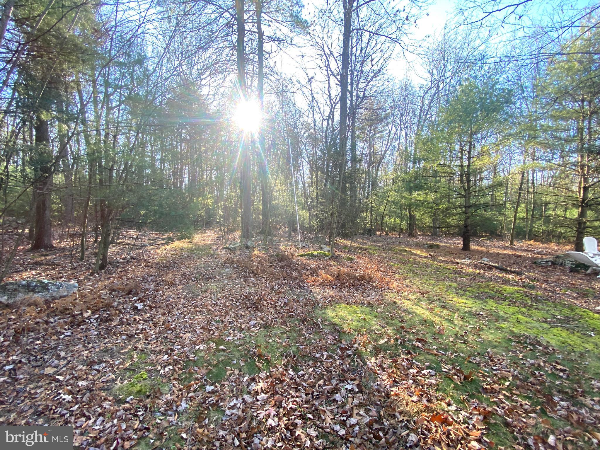 590 Indiana Road Landisburg, PA 17040 - Photo 94 of 128 Rear yard/ wooded land