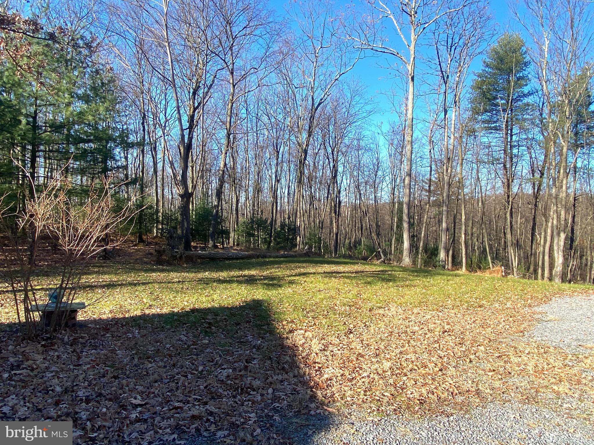 590 Indiana Road Landisburg, PA 17040 - Photo 96 of 128 Side yard