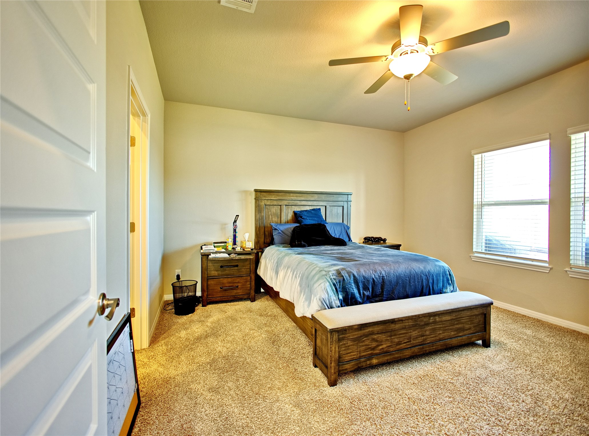 2809 Moyer Lane Round Rock, TX 78665 - Photo 6 of 22 Bedroom with light carpet and a ceiling fan