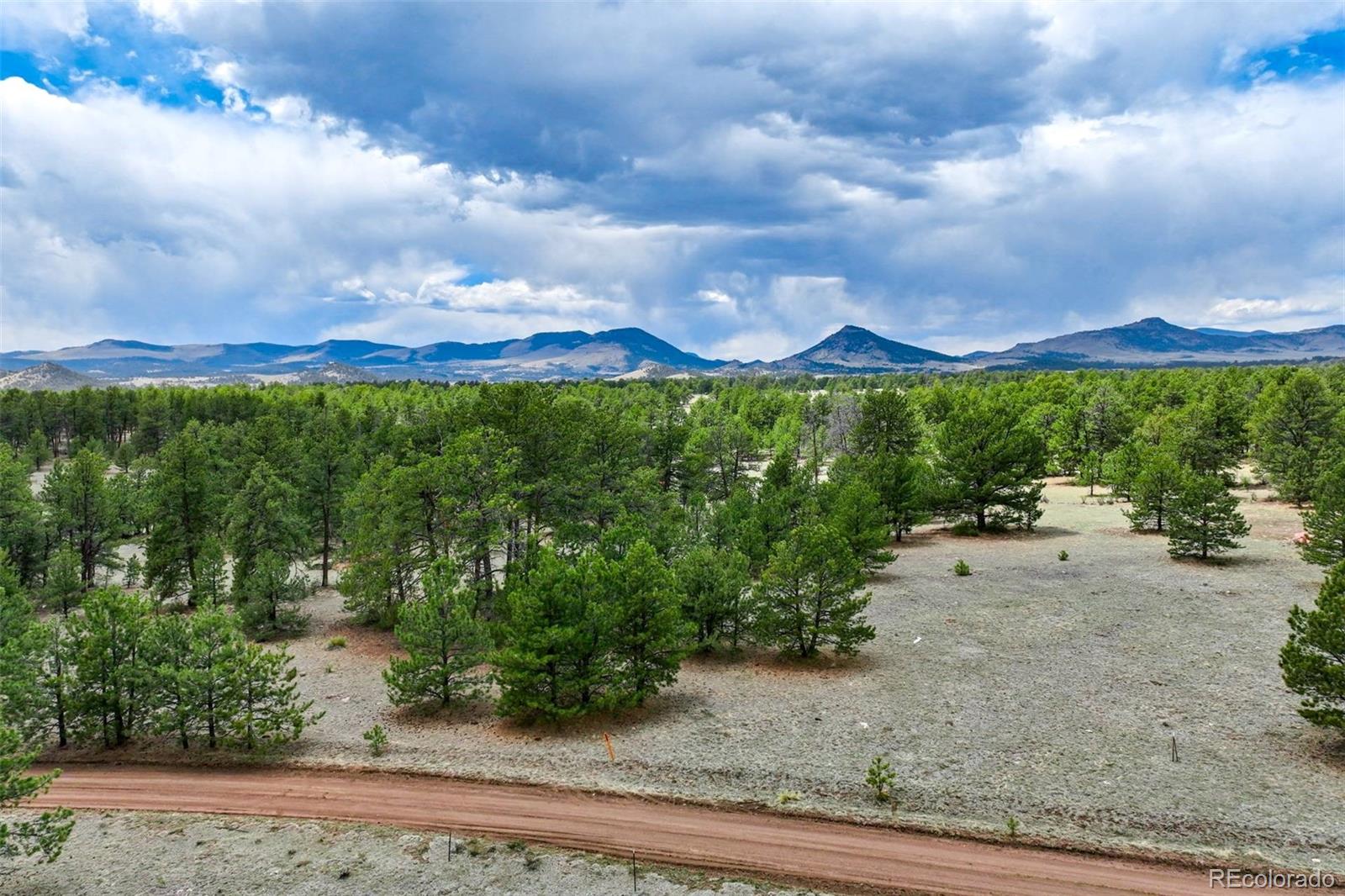 103 Doe Valley Road Guffey, CO 80820 - Photo 38 of 46