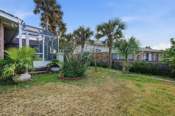 a view of a yard with plants and palm trees