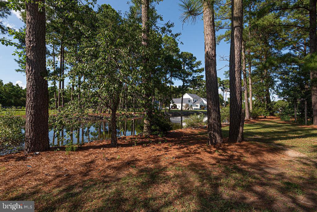 5060 Old Auger Road Crisfield, MD 21817 - Photo 34 of 110 Gallery Image 34