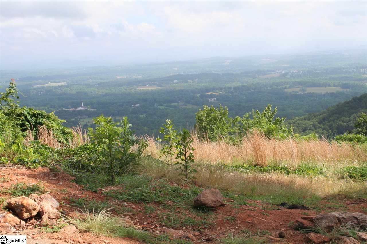Old Altamont Ridge Road Greenville, SC 29609 - Photo 3 of 5