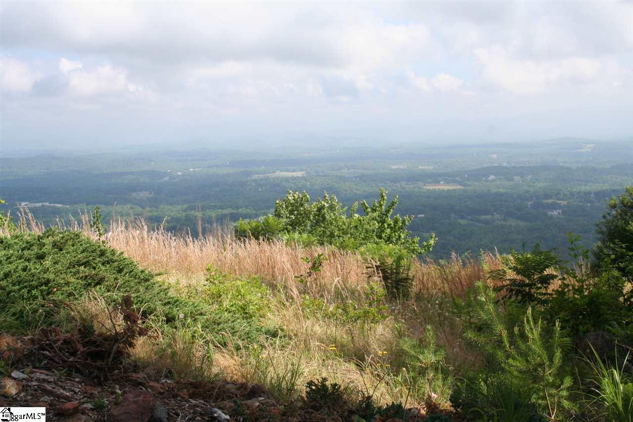 Old Altamont Ridge Road Greenville, SC 29609 - Photo 4 of 5