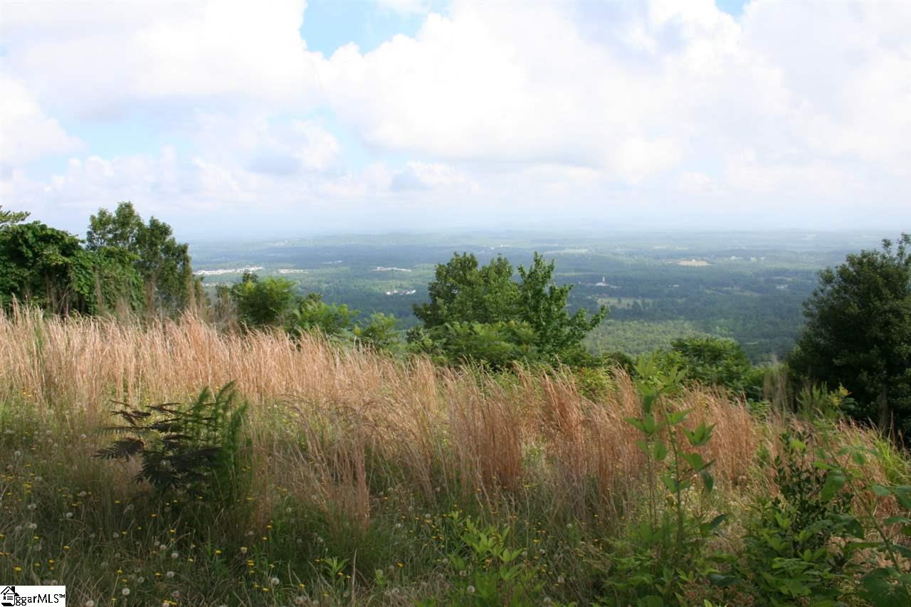 Old Altamont Ridge Road Greenville, SC 29609 - Photo 5 of 5