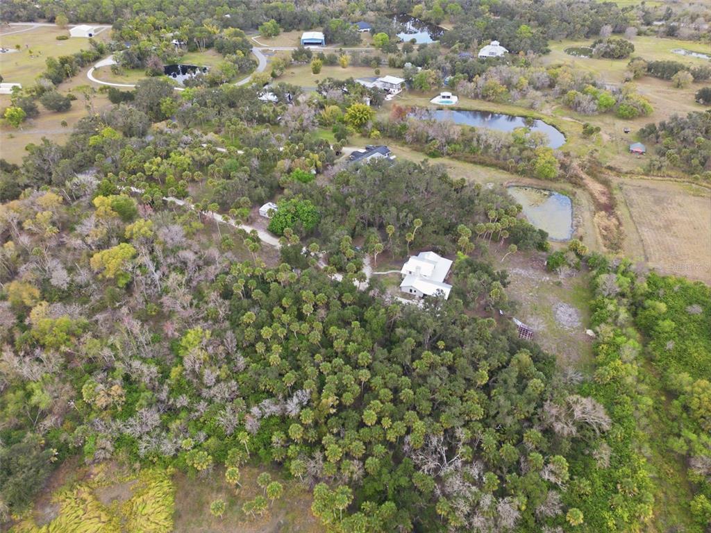 4570 Hidden River Road Sarasota, FL 34240 - Photo 11 of 45 a close up of a tree