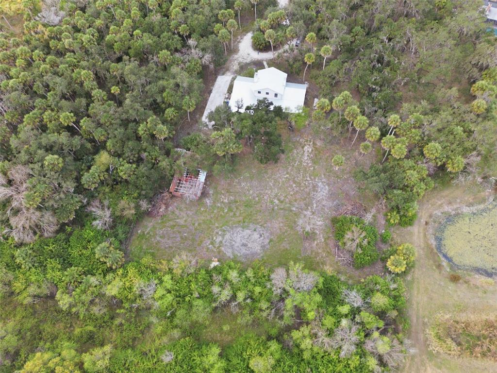 4570 Hidden River Road Sarasota, FL 34240 - Photo 13 of 45 a close up of a flower in a garden