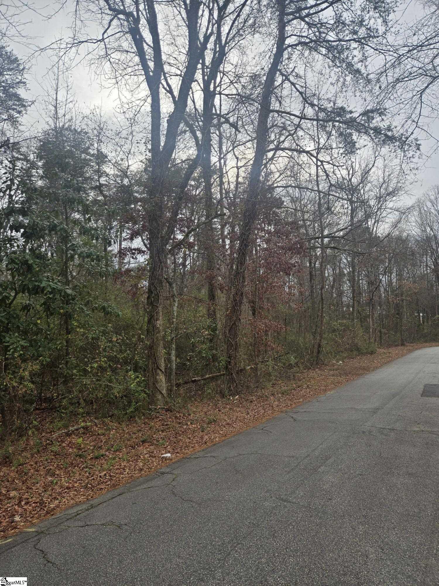 Kennedy Road Taylors, SC 29687 - Photo 2 of 4