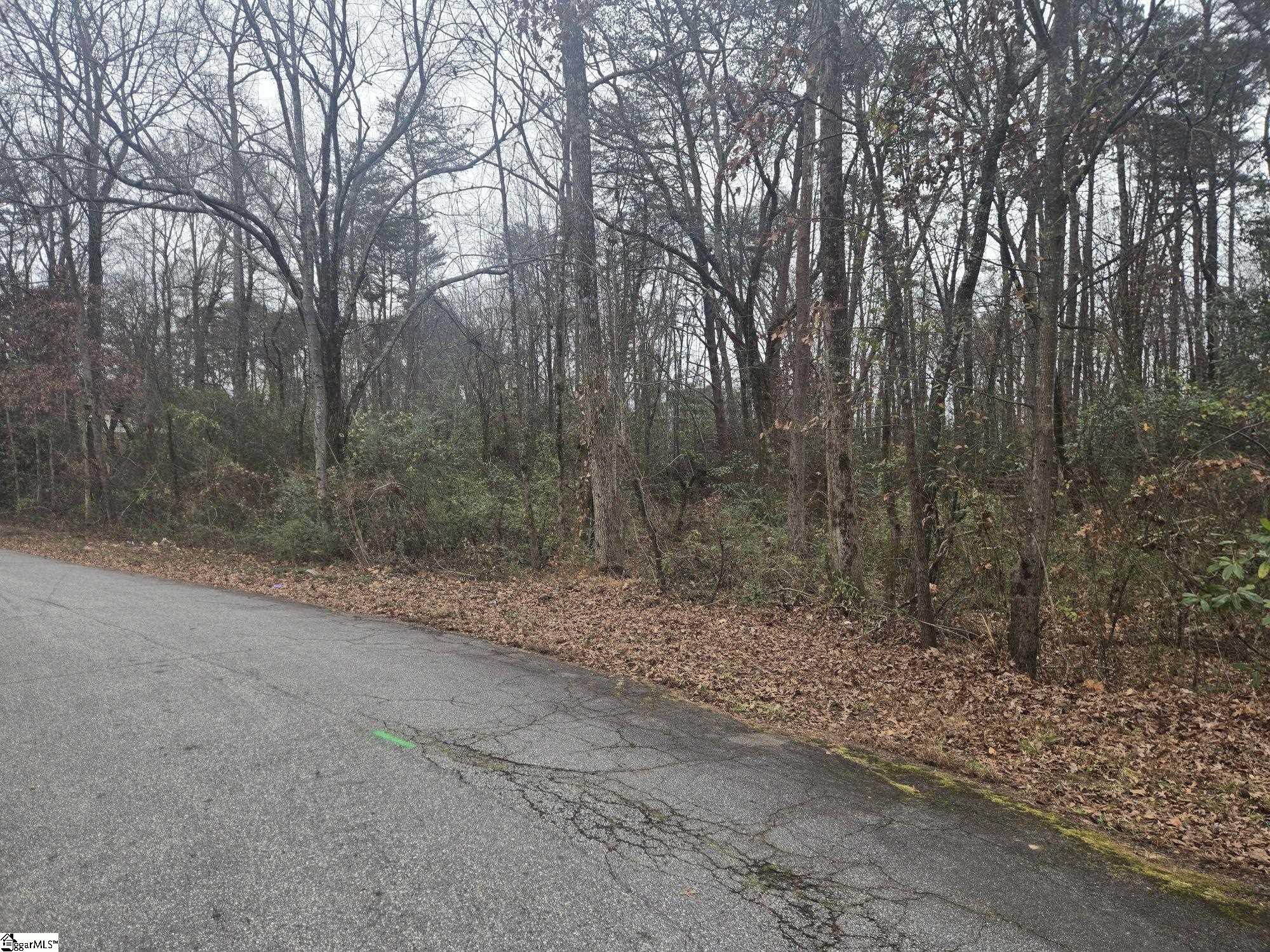 Kennedy Road Taylors, SC 29687 - Photo 4 of 4