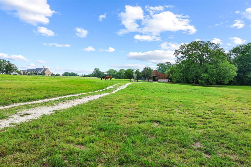 1906 Durning Road Van Alstyne, TX 75495 - Photo 19 of 40 a view of a big yard with plants and large trees