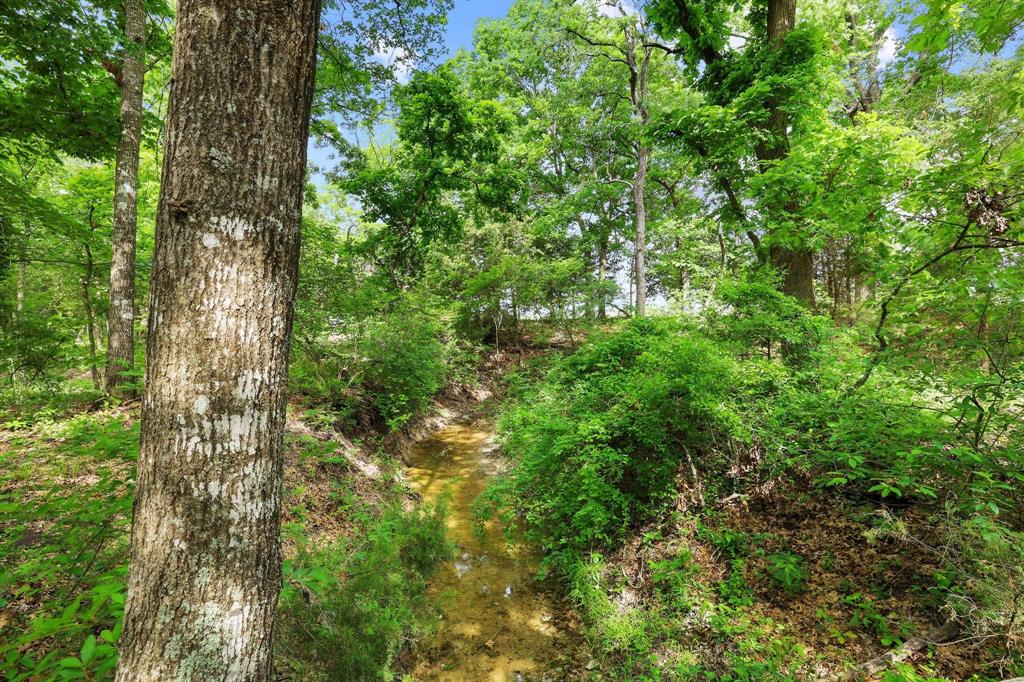 1906 Durning Road Van Alstyne, TX 75495 - Photo 24 of 40 a view of a lush green forest