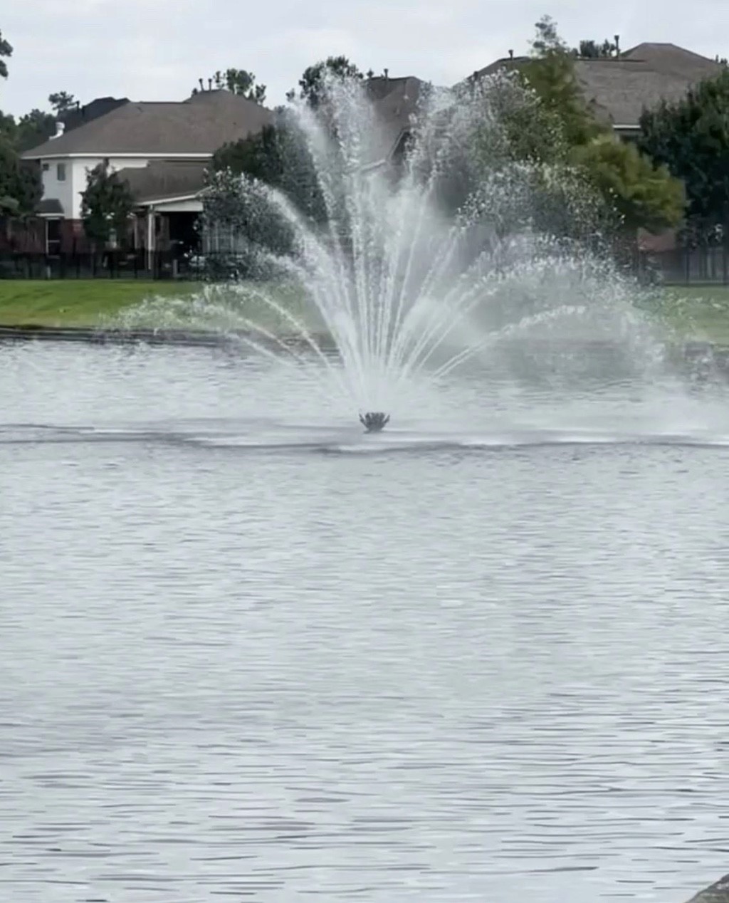 30303 Castle Forest Drive Spring, TX 77386 - Photo 27 of 41 a view of a house with a yard
