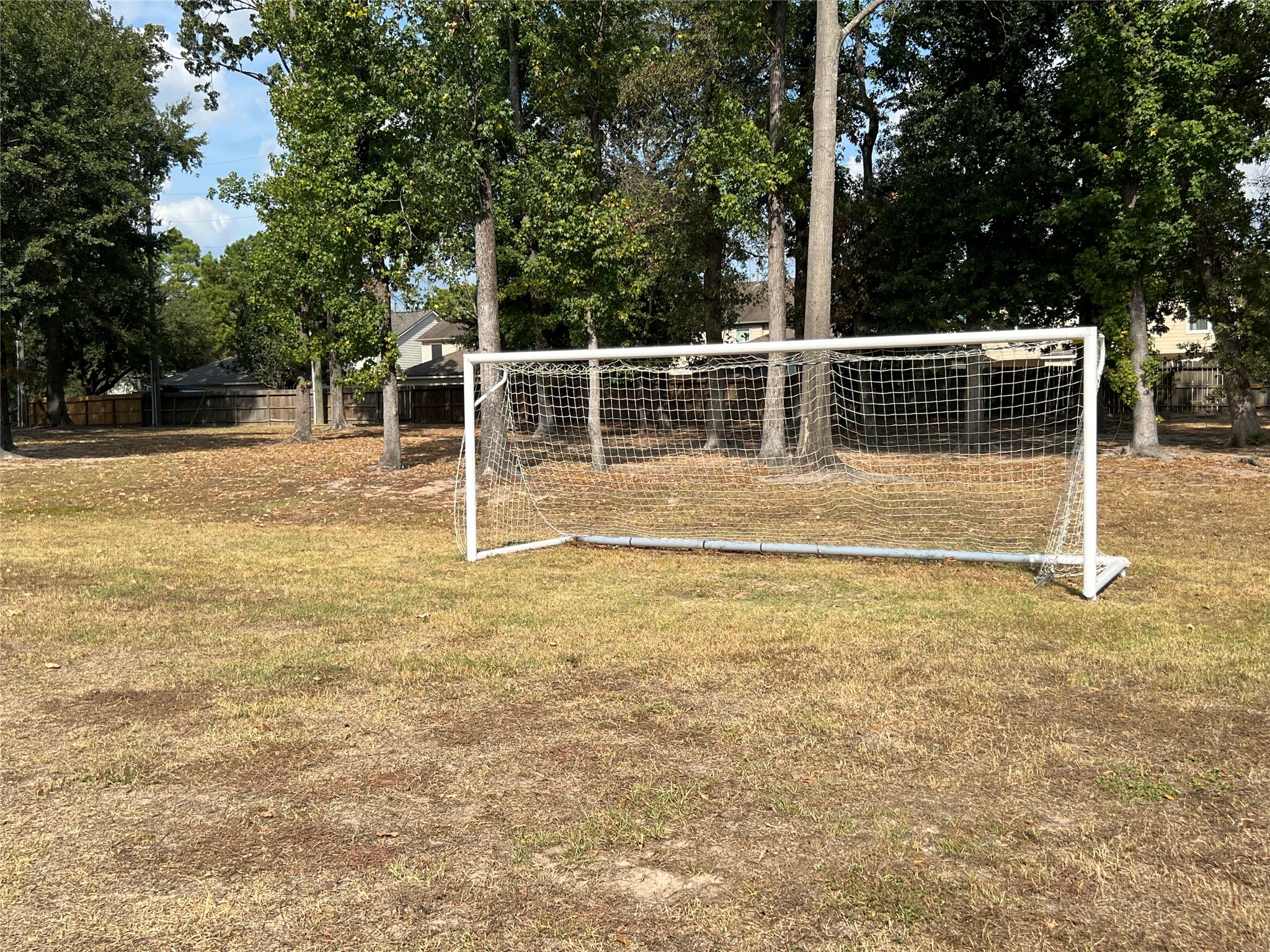 30303 Castle Forest Drive Spring, TX 77386 - Photo 39 of 41 a view of a backyard