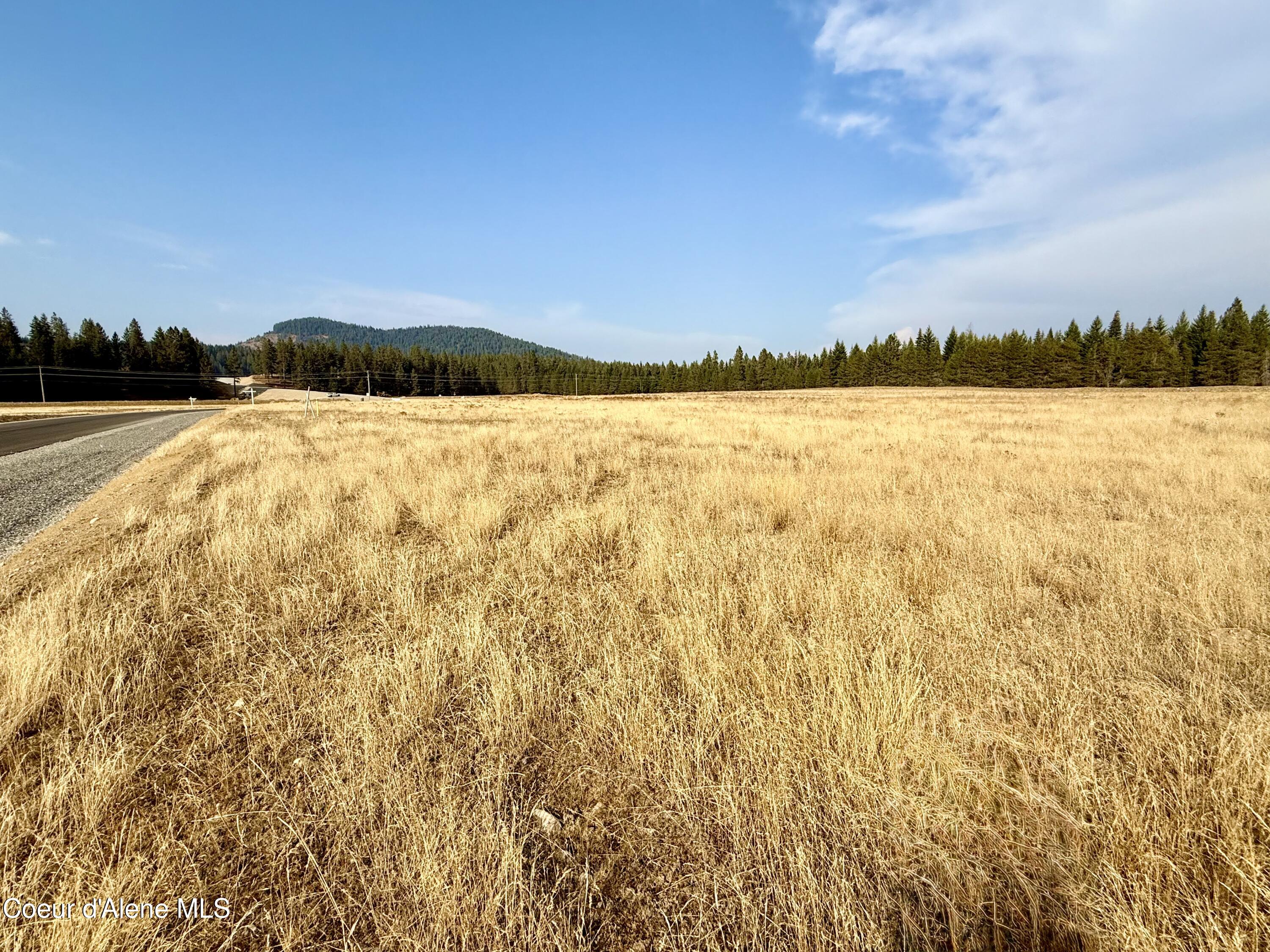 Nka North Stonemason Way, Unit 3 Rathdrum, ID 83858 - Photo 2 of 8 Mountain views
