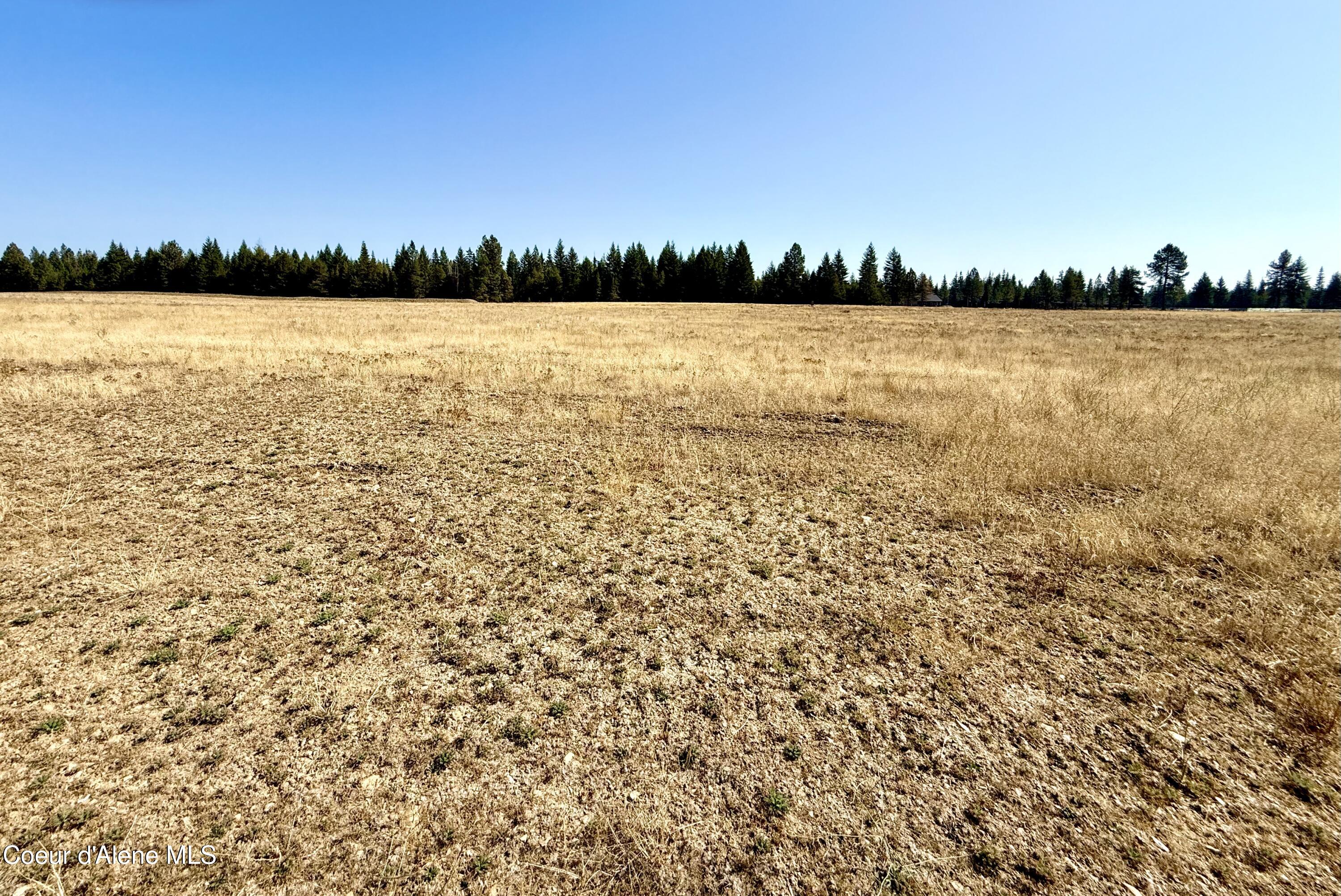 Nka North Stonemason Way, Unit 3 Rathdrum, ID 83858 - Photo 5 of 8 5 useable acres