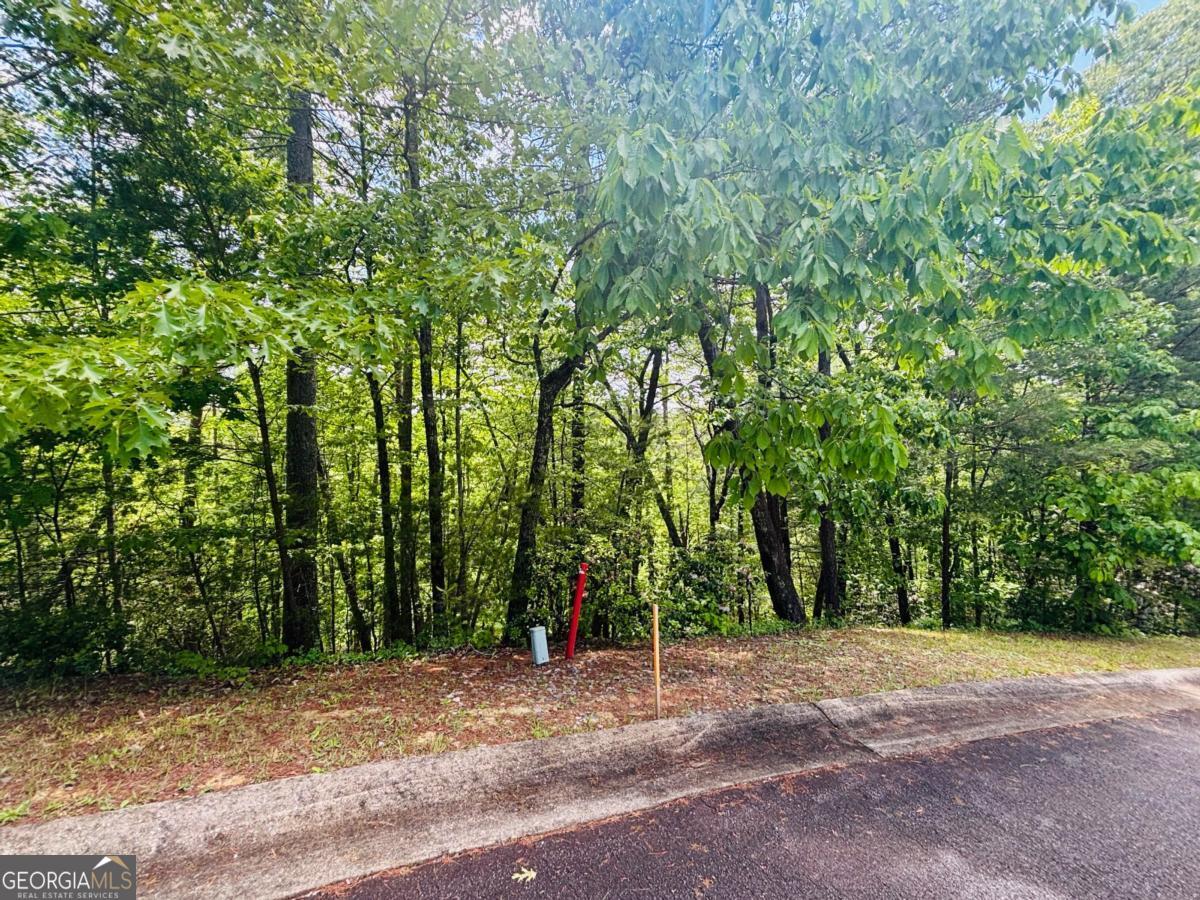 0 Rosen Strasse Helen, GA 30545 - Photo 2 of 11 All paved streets with public water & sewer!