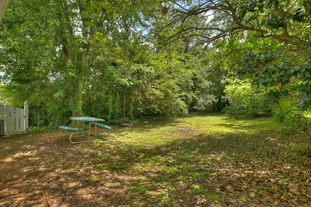61 Delaware Street Ellijay, GA 30540 - Photo 27 of 36 Gallery Image 27