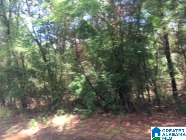 325 Springhill Road, Unit 1 Talladega, AL 35160 - Photo 20 of 31