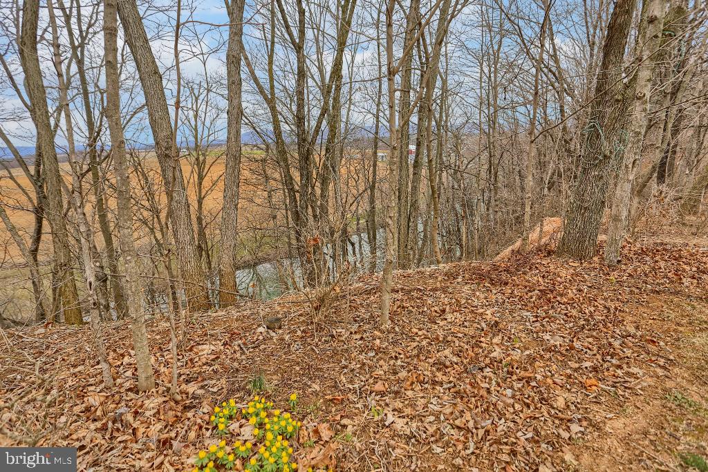 811 Creek Road Carlisle, PA 17015 - Photo 4 of 35 Gallery Image 4
