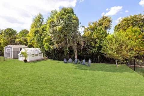 a view of a park with large trees